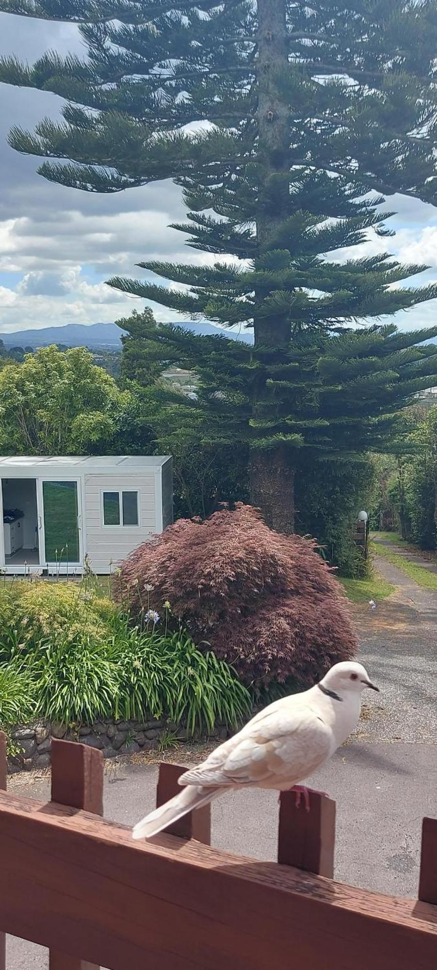 Haley'S Cabin Tauranga Zewnętrze zdjęcie