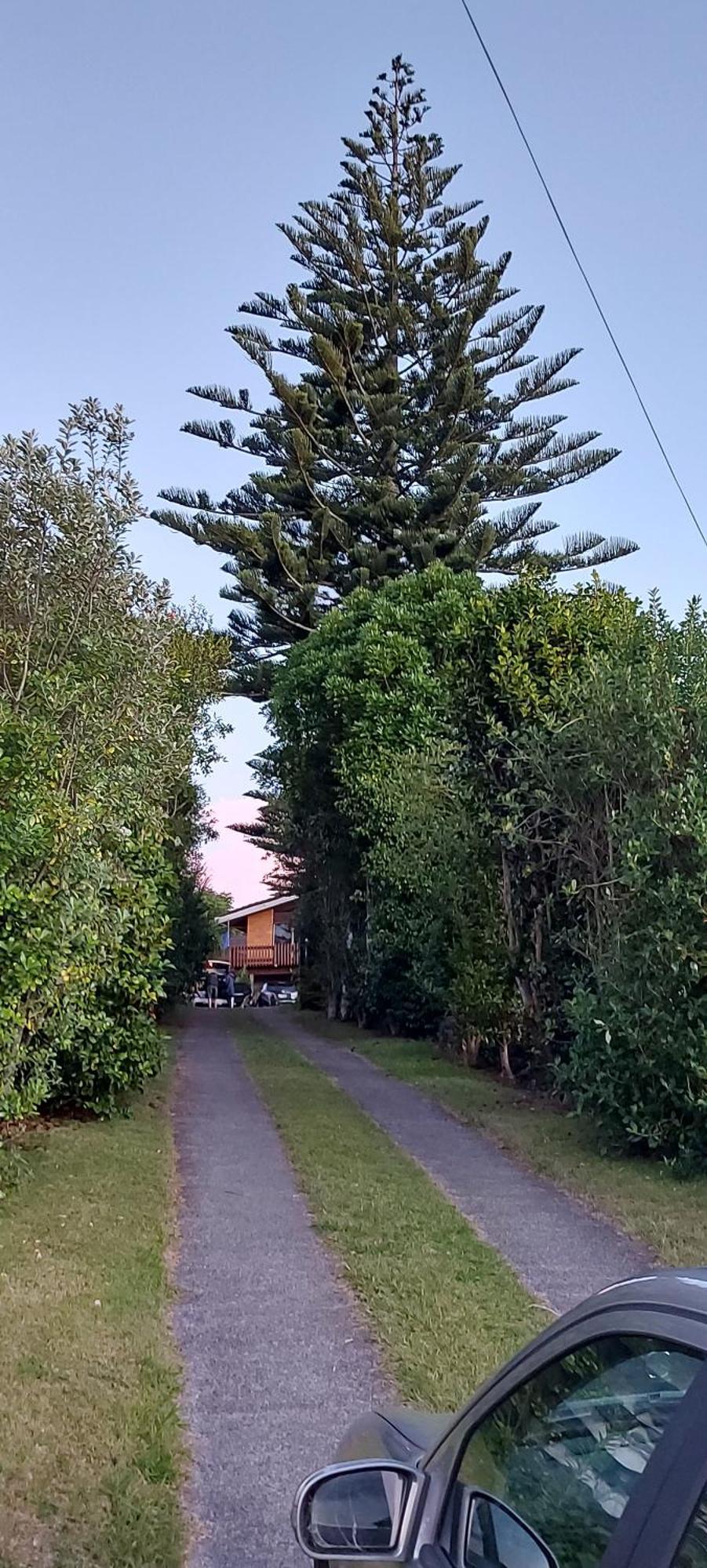 Haley'S Cabin Tauranga Zewnętrze zdjęcie