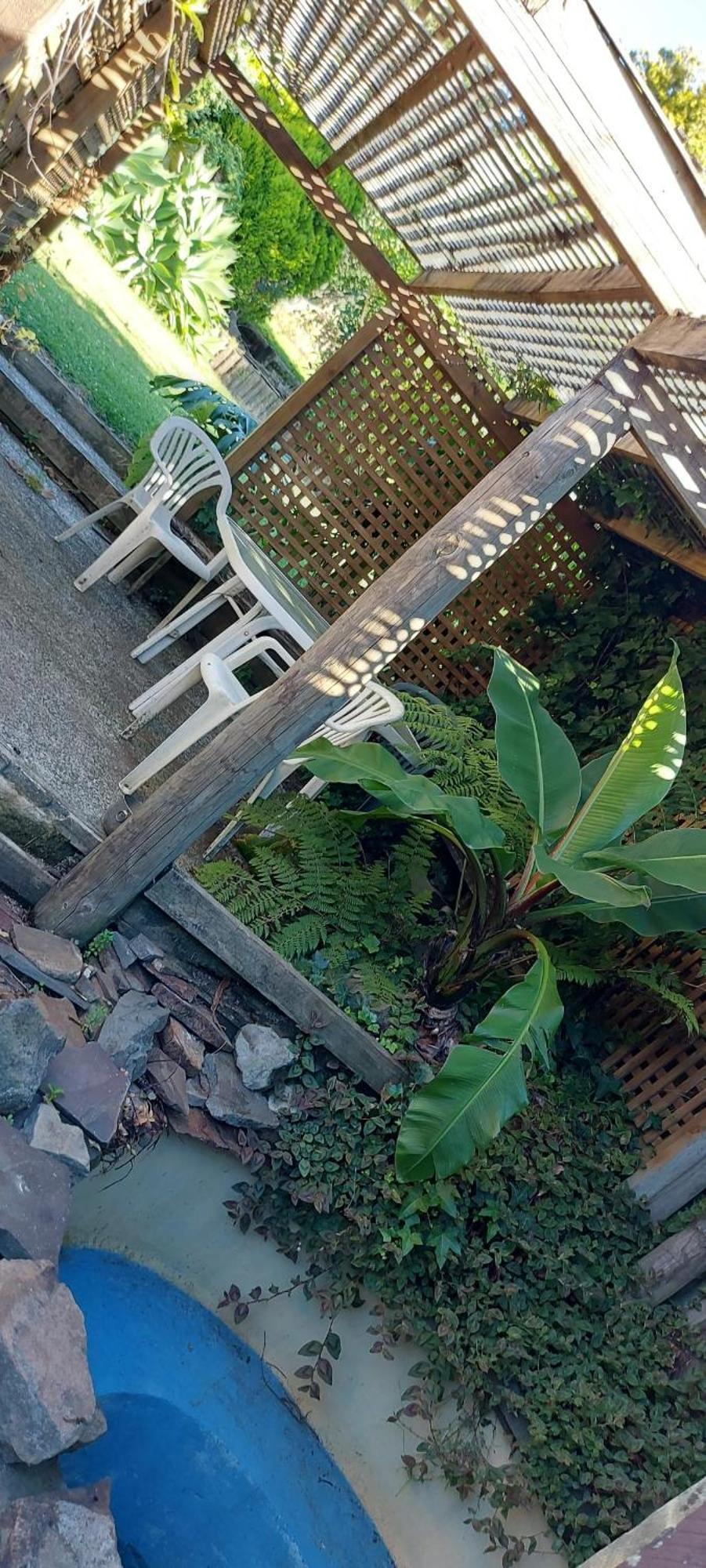 Haley'S Cabin Tauranga Zewnętrze zdjęcie