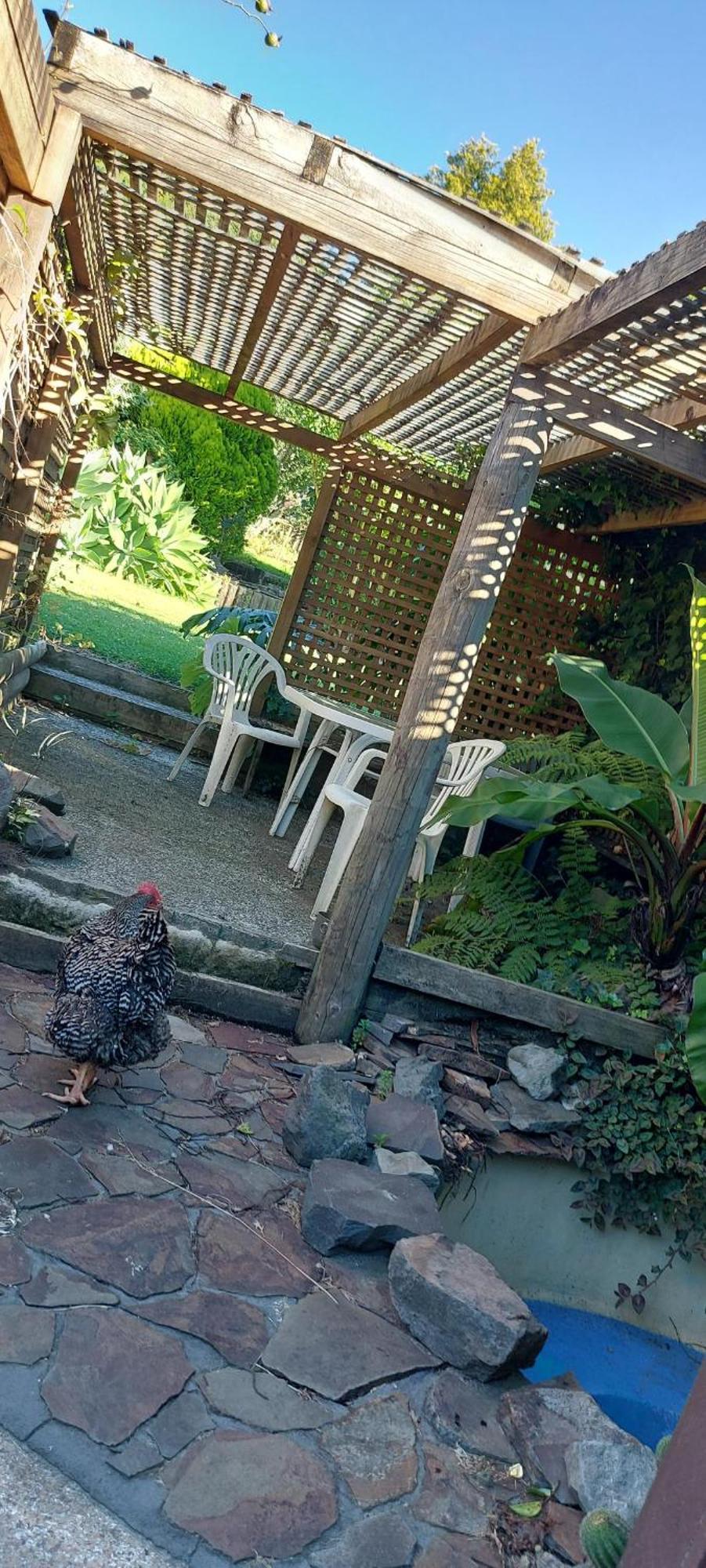 Haley'S Cabin Tauranga Zewnętrze zdjęcie
