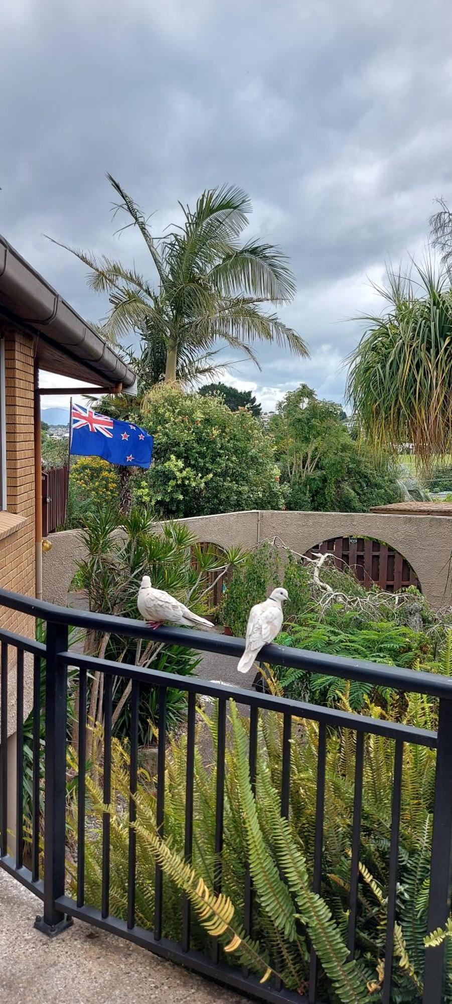 Haley'S Cabin Tauranga Zewnętrze zdjęcie
