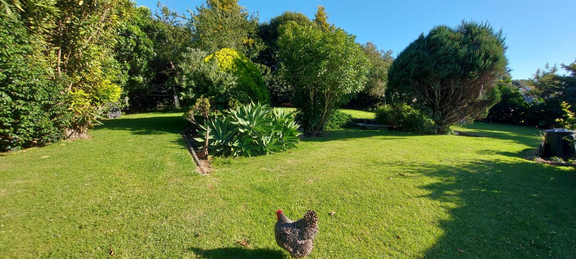 Haley'S Cabin Tauranga Zewnętrze zdjęcie